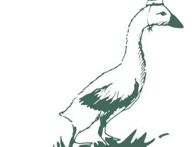 Notre lettre annuelle Octobre 2026
