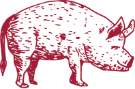 illustration_porc_les_bouriettes.jpg